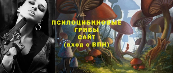 соль ск Аркадак