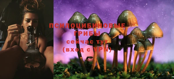 соль ск Аркадак