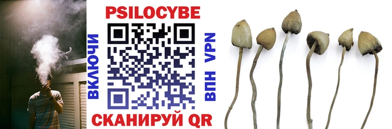Псилоцибиновые грибы мухоморы  ссылка на мегу ссылка  Малгобек  хочу наркоту 